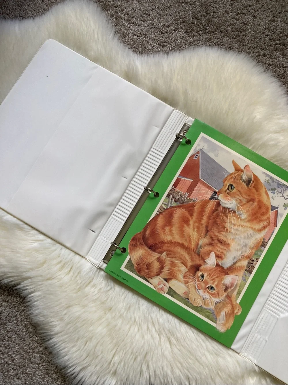 Vintage 90s Trapper Keeper Cats Butterfly Sophisticats Mead Folder 3 Ring Binder
